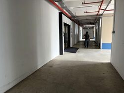 Perfect One (D13), Factory #567582151